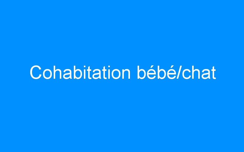 You are currently viewing Cohabitation bébé/chat