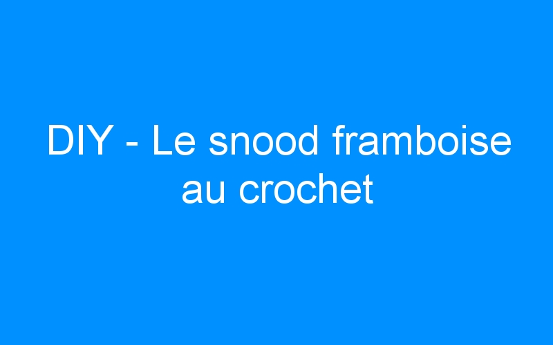 You are currently viewing DIY – Le snood framboise au crochet