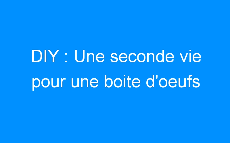 You are currently viewing DIY : Une seconde vie pour une boite d’oeufs