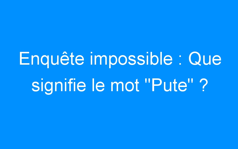 You are currently viewing Enquête impossible : Que signifie le mot « Pute » ?