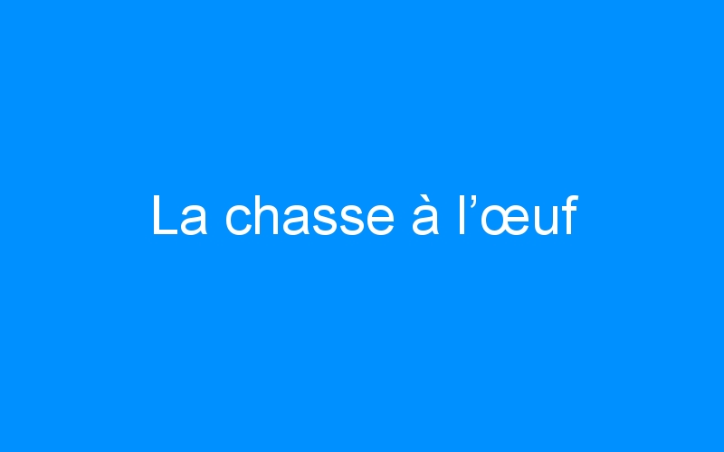 You are currently viewing La chasse à l’œuf