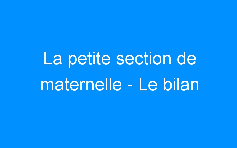 You are currently viewing La petite section de maternelle – Le bilan