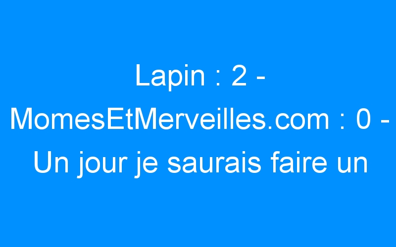 You are currently viewing Lapin : 2 – MomesEtMerveilles.com : 0 – Un jour je saurais faire un amigurumi !