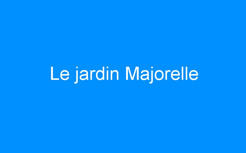 You are currently viewing Le jardin Majorelle