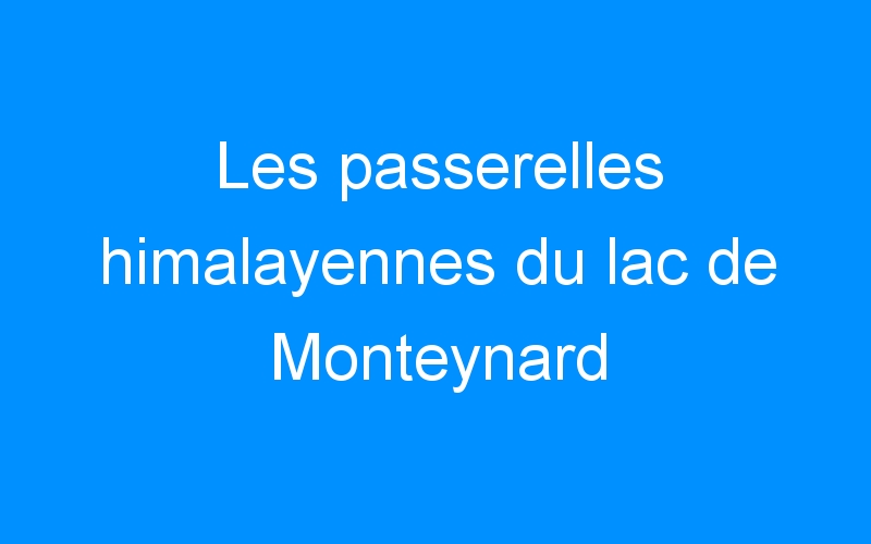 You are currently viewing Les passerelles himalayennes du lac de Monteynard