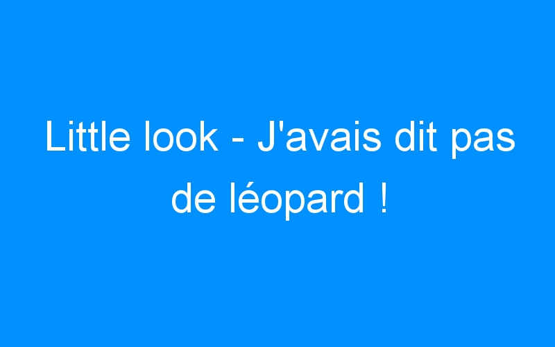 You are currently viewing Little look – J’avais dit pas de léopard !