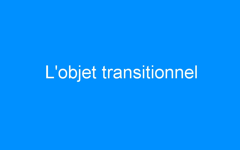 You are currently viewing L’objet transitionnel