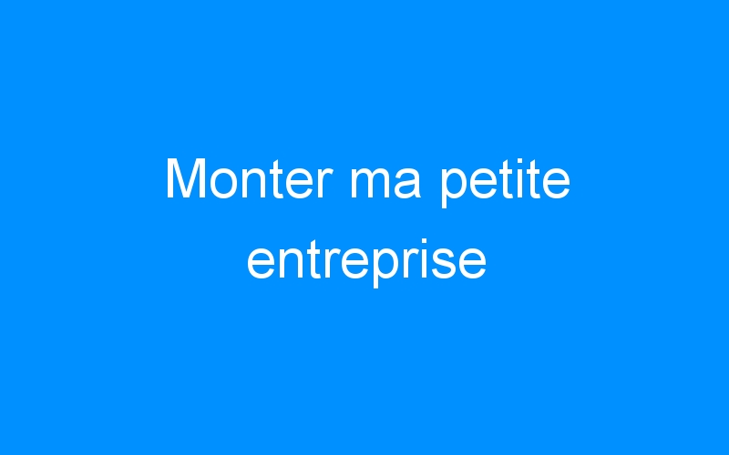 You are currently viewing Monter ma petite entreprise