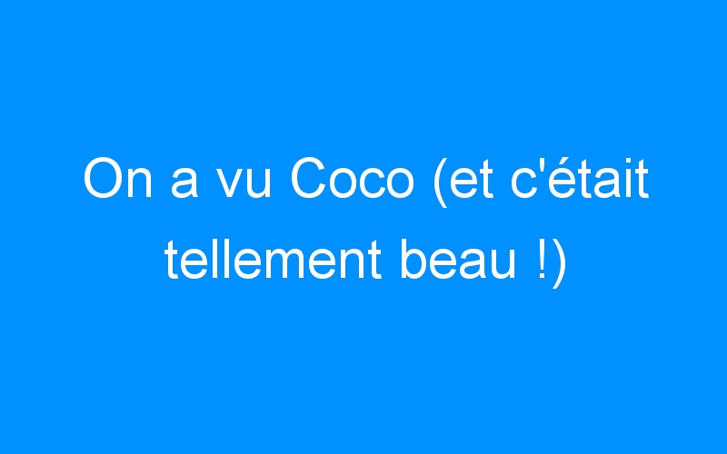 You are currently viewing On a vu Coco (et c’était tellement beau !)