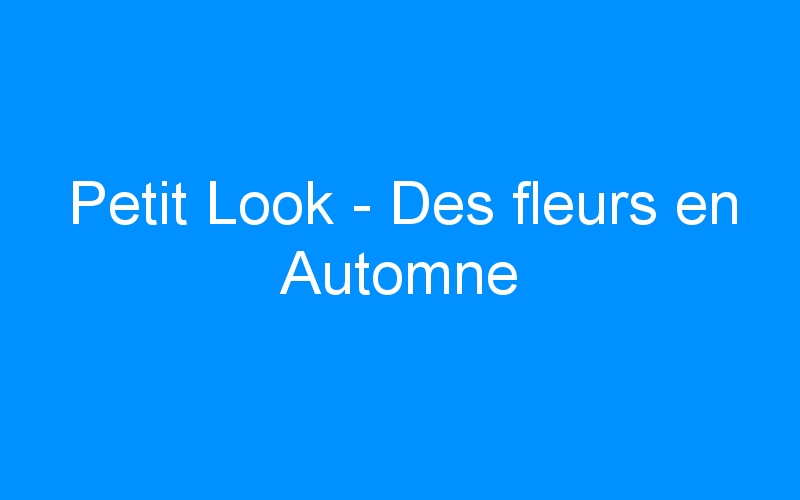 You are currently viewing Petit Look – Des fleurs en Automne