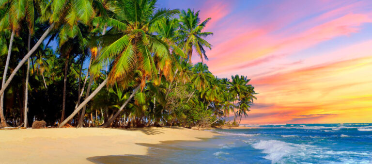 Lire la suite à propos de l’article Les plages du sud de la Martinique