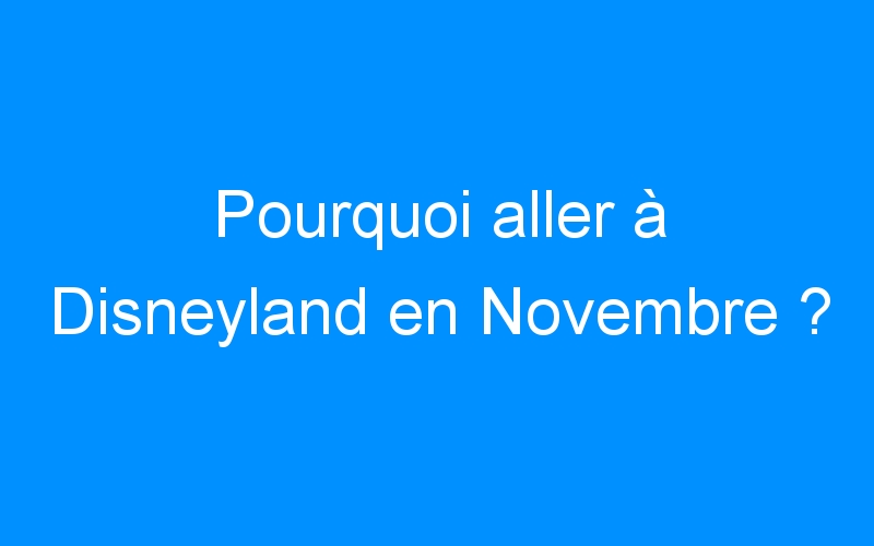 You are currently viewing Pourquoi aller à Disneyland en Novembre ?