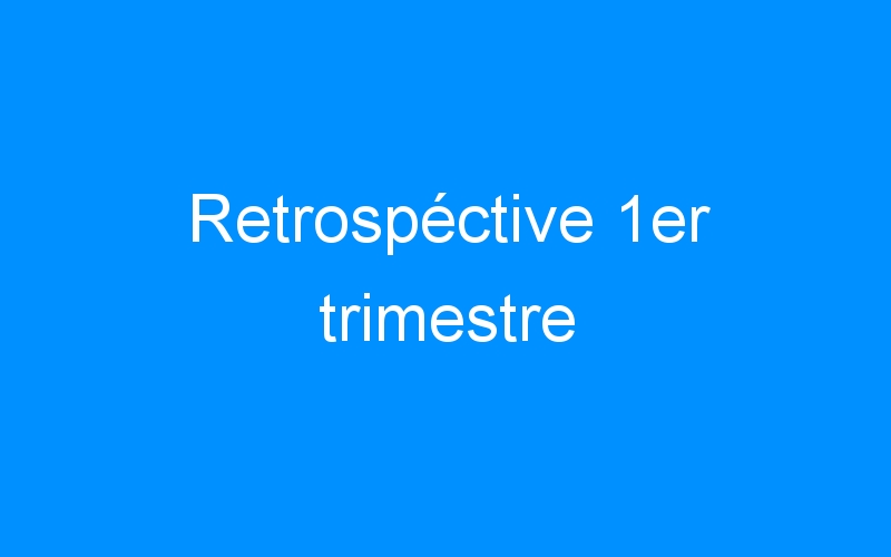 You are currently viewing Retrospéctive 1er trimestre