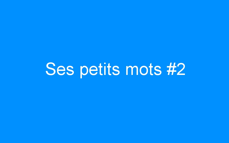 You are currently viewing Ses petits mots #2